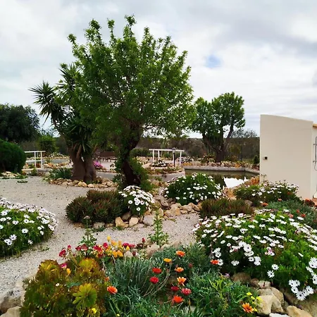 Casa Oasis - Paraiso Na Terra * Tunes