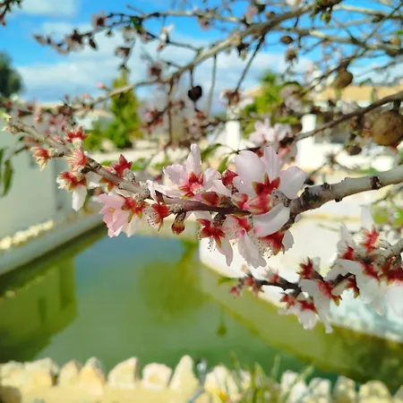 Casa Oasis - Paraiso Na Terra Villa