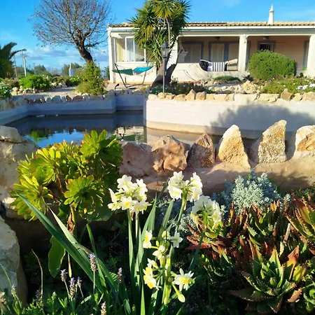 Casa Oasis - Paraiso Na Terra