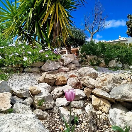 Villa Casa Oasis - Paraiso Na Terra *