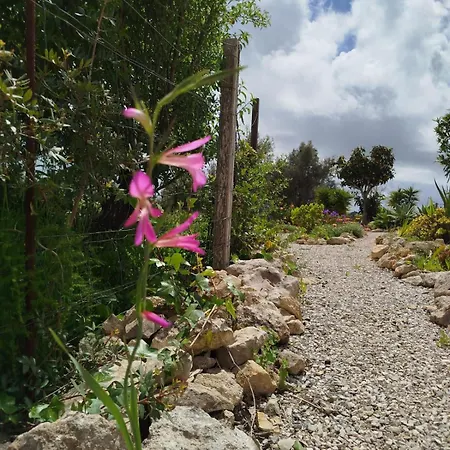 וילה Casa Oasis - Paraiso Na Terra Tunes