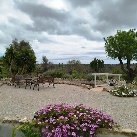 Casa Oasis - Paraiso Na Terra *