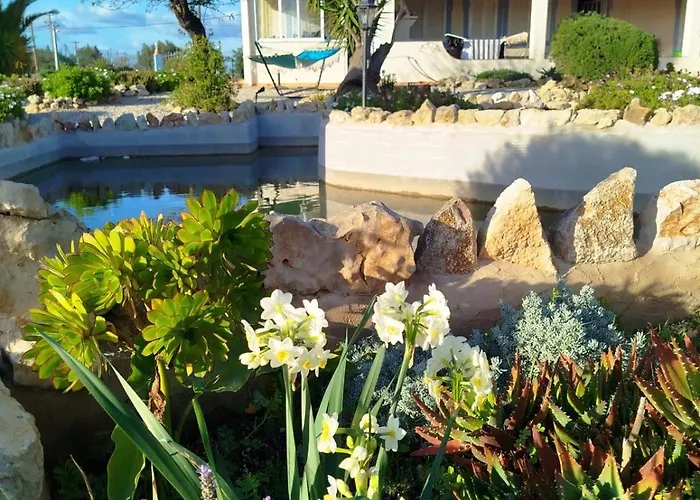 Casa Oasis - Paraiso Na Terra